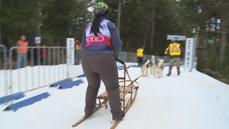 Martock hosts dozens of dogs, owners at weekend mushing jamboree