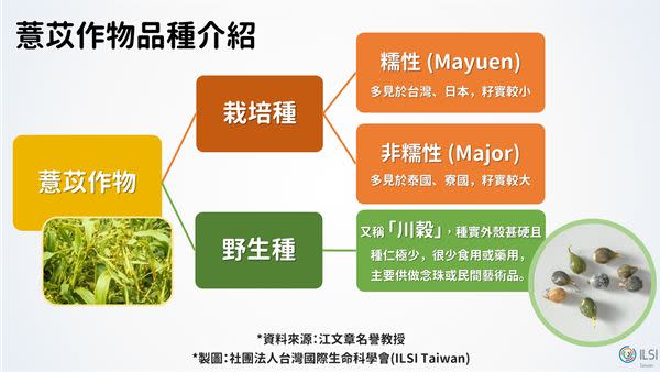 （圖一） 薏苡作物品種介紹。（圖片提供／台灣國際生命科學會）