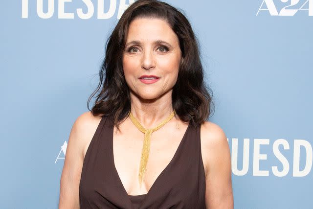 <p>Santiago Felipe/Getty</p> Julia Louis-Dreyfus