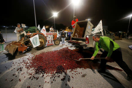 French farmers, members of the FNSEA, the country's largest farmers' union, spread cherries on the road as they block the Total biodiesel refinery at La Mede near Fos-sur-Mer, France June 11, 2018. REUTERS/Jean-Paul Pelissier