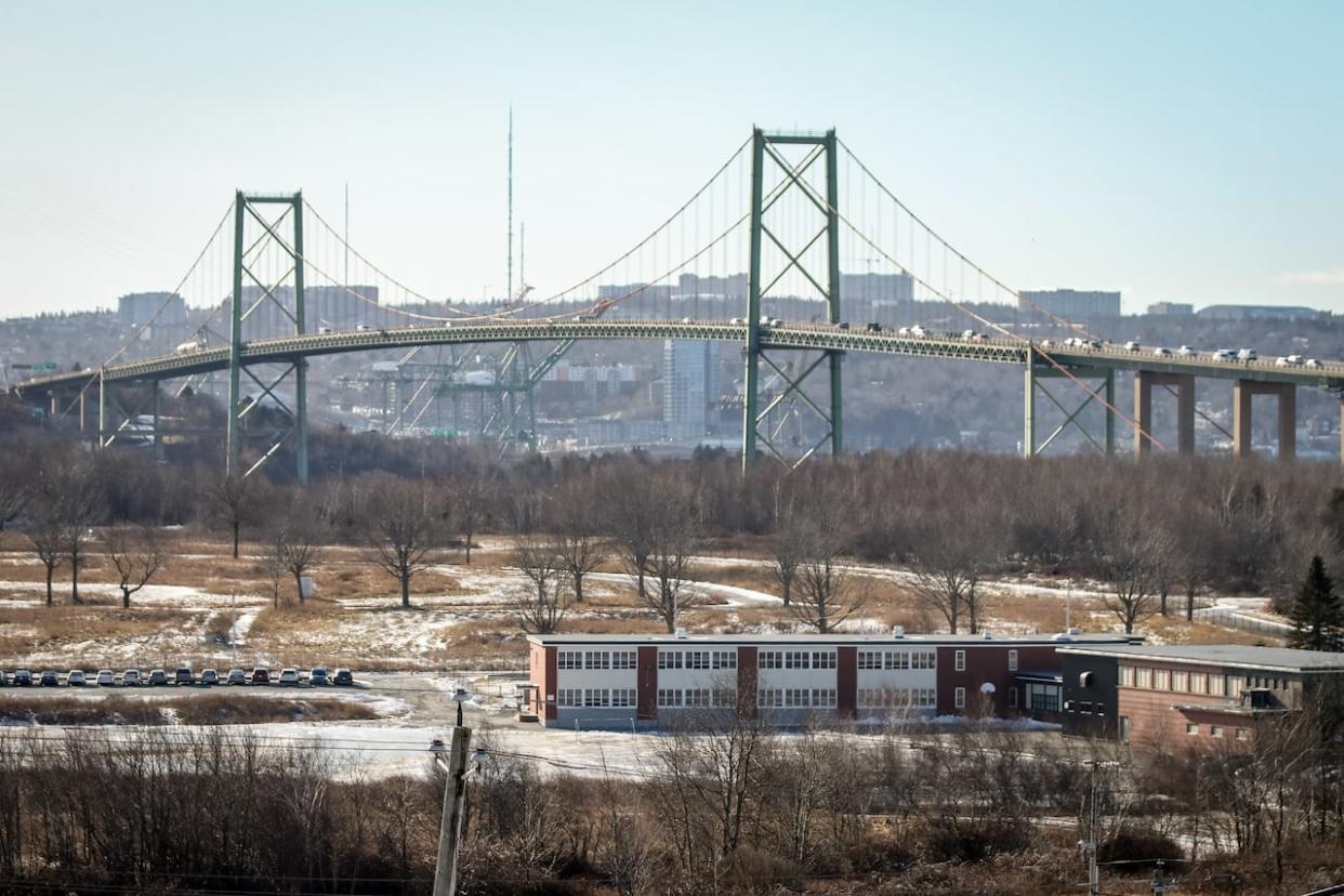 The MacKay Bridge as seen from Shannon Park on Jan. 8, 2019. (Robert Short/CBC - image credit)