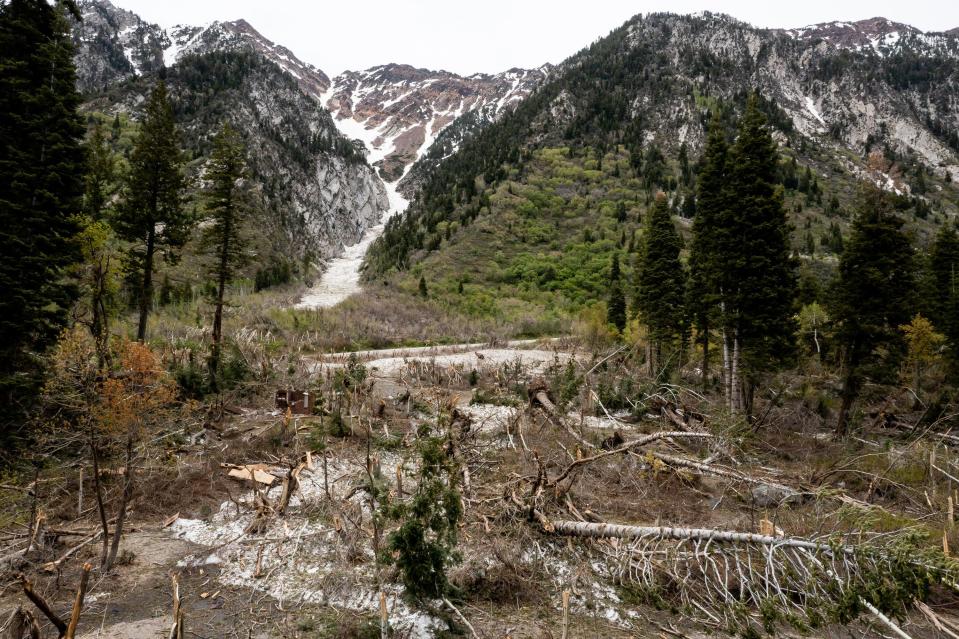 Damage from an avalanche that hit Tanners Flat Campground in Little Cottonwood Canyon in Salt Lake County is pictured on Thursday, June 1, 2023. | Spenser Heaps, Deseret News