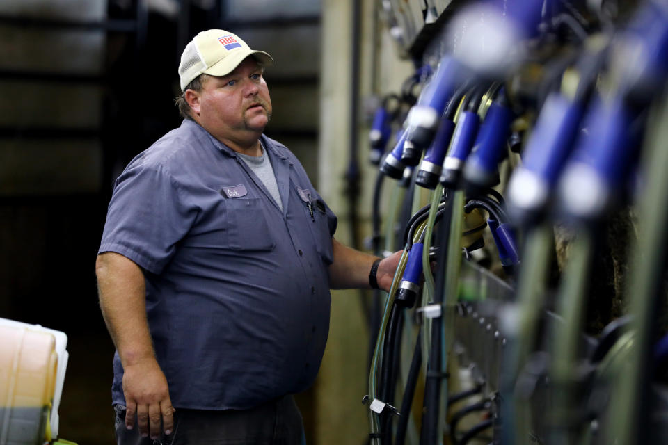 Chuck Ripp troubleshoots a machine in the milking parlor at his farm, Ripp's Dairy Valley, in Dane, Wisconsin, Sept. 12, 2017. He says he works long hours at the farm, which he co-owns with his brothers Gary and Troy. The dairy relies heavily on Latino workers. (Photo: Coburn Dukehart/Wisconsin Center for Investigative Journalism)