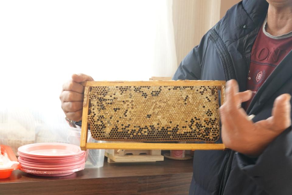 海霓工坊嚐野蜂蜜