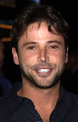 David Lascher at the Westwood premiere of Warner Brothers' Summer Catch