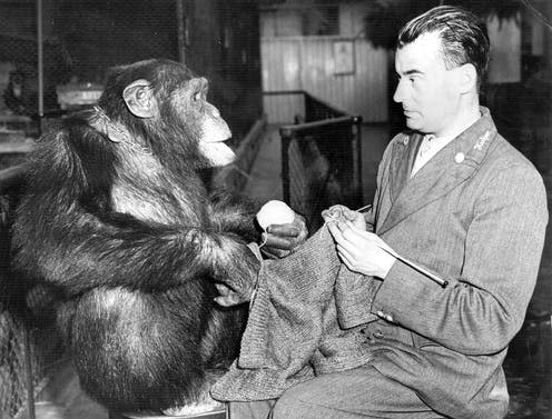 <span class="caption">Mr Bown Jackieas with chimpanzee at the London zoo in 1938.</span> <span class="attribution"><span class="source">wikipedia</span></span>