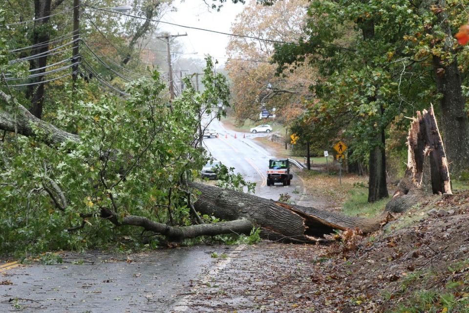 High winds and rain caused power outages and downed trees across the state as shown by this tree across power lines on Route 138 in Kingston near URI.