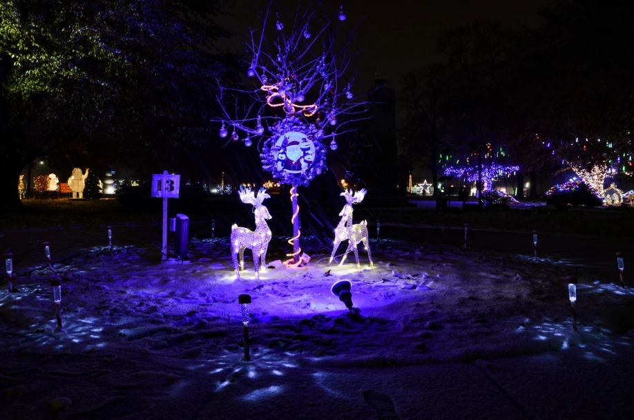 A lighted display from the YMCA is shown at Pine Grove Park in 2021.