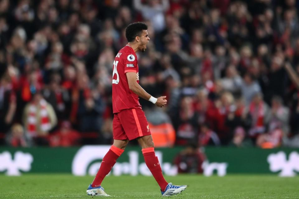 Luis Diaz proved a huge signing for Liverpool after they beat Tottenham to the Colombia star  (Getty Images)