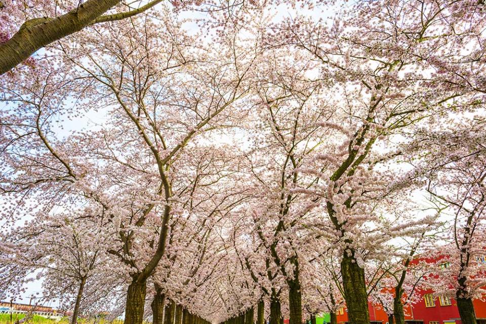 彩虹街區（Image Source : Getty Creative/iStockphoto）