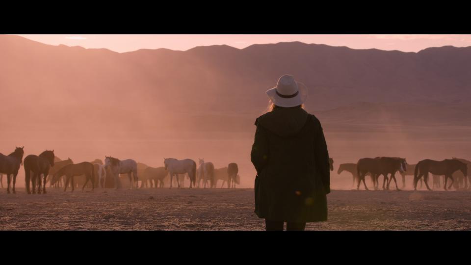 ‘Wild Beauty: Mustang Spirit of the West’