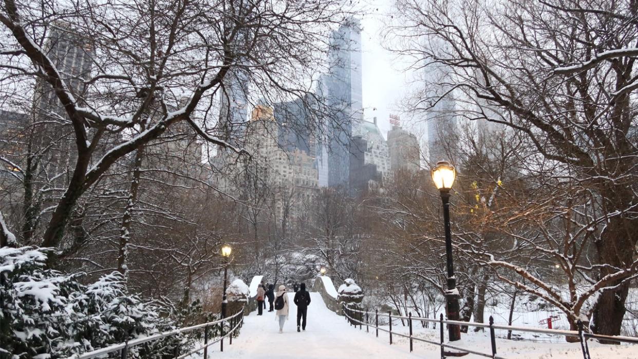 <div>People walk over the Gapstow Bridge as snow falls in Central Park on January 16, 2024 in New York City. The City received a rare accumulation of snow overnight. <strong>(Photo by Gary Hershorn/Getty Images)</strong></div>