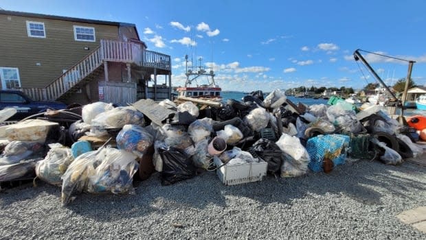 About 80 bags of trash were collected during the 30th annual clean up of McNabs Island on Sunday. (Friends of McNabs/Twitter - image credit)