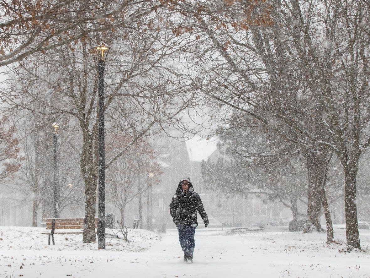 A person has their hood up as they walk in a park during morning flurries in Kingston, Ont., Dec. 8, 2021, the day the first case of the Omicron COVID-19 variant was confirmed in the Kingston area. (Lars Hagberg/The Canadian Press - image credit)