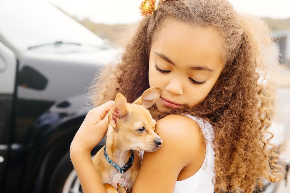 young girl holding chihuahua