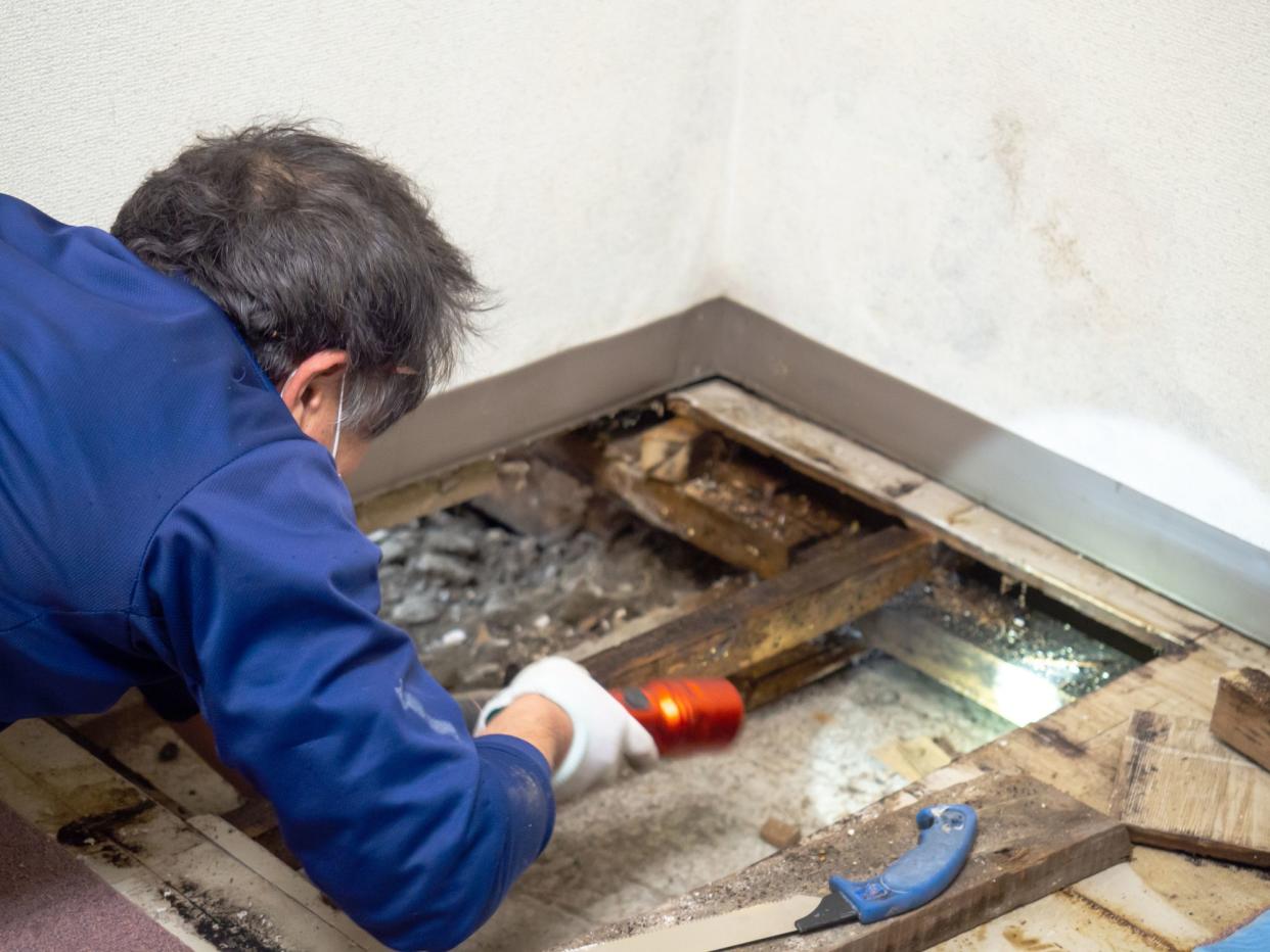 Japanese construction worker checking the underfloor space.