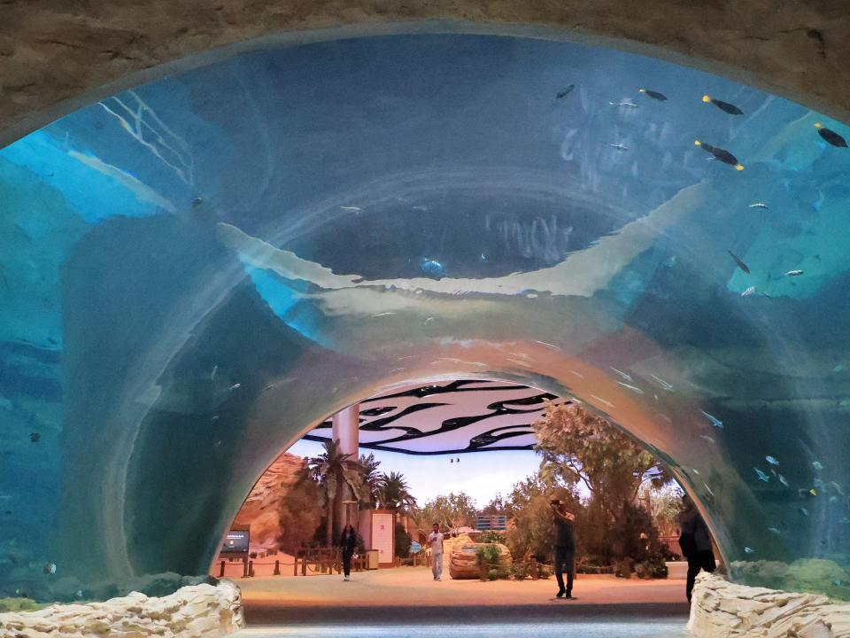 People tour at SeaWorld, the region's first marine life theme park, on Yas Island in Abu Dhabi on May 21, 2023.