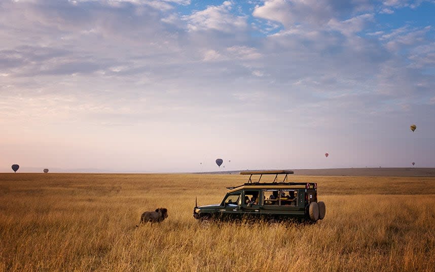 Kenya is popular for its Big Five safaris - Vicki Jauron