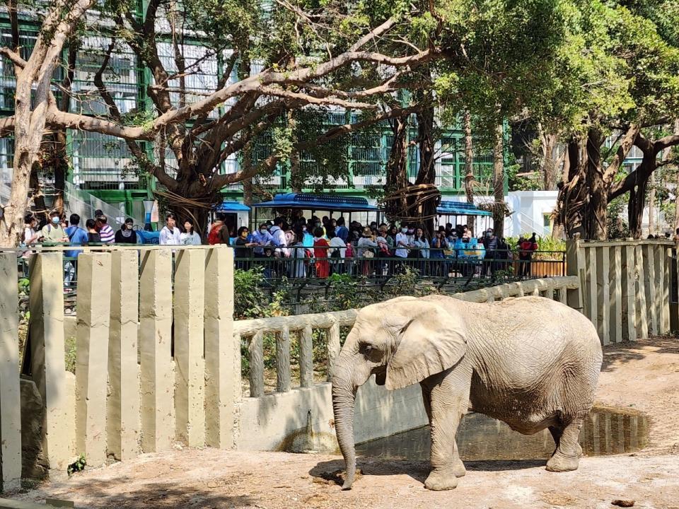 壽山動物園與義大遊樂世界共推「雙園護照」。   圖：高雄市觀光局/提供