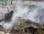 A Kashmiri man tries to douse the fire after fodder caught fire during a gun battle between government forces and suspected rebels in Bijbehara, some 28 miles (45 kilometers) south of Srinagar, Indian controlled Kashmir, Sunday, April 11, 2021. (AP Photo/Mukhtar Khan)