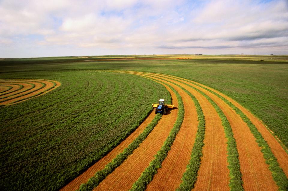 Aerial view of a tractor harvesting alfalfa.