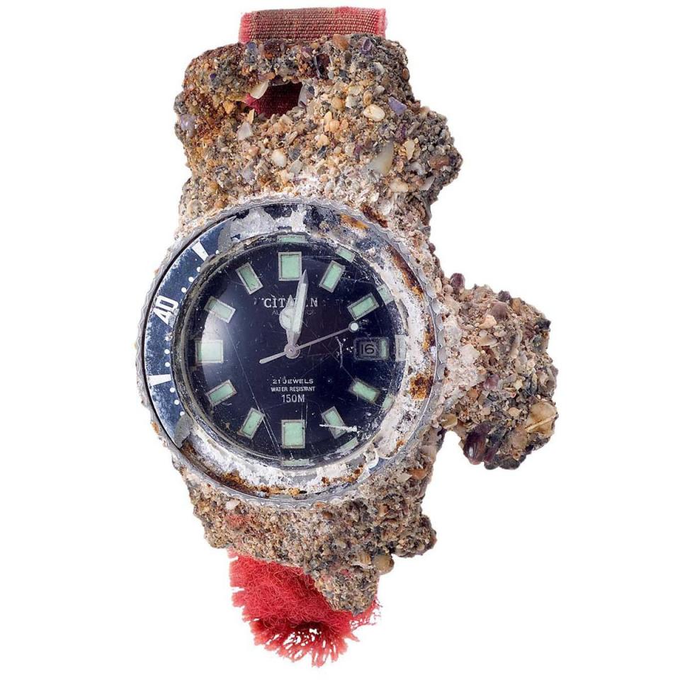 1983年被發現長滿藤壺的CITIZEN「Challenge Diver」的潛水錶，成為此次限量款的發想主題由來。