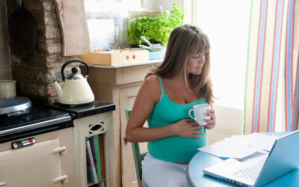 Pregnant woman sitting at kitchen table with laptop - moodboard