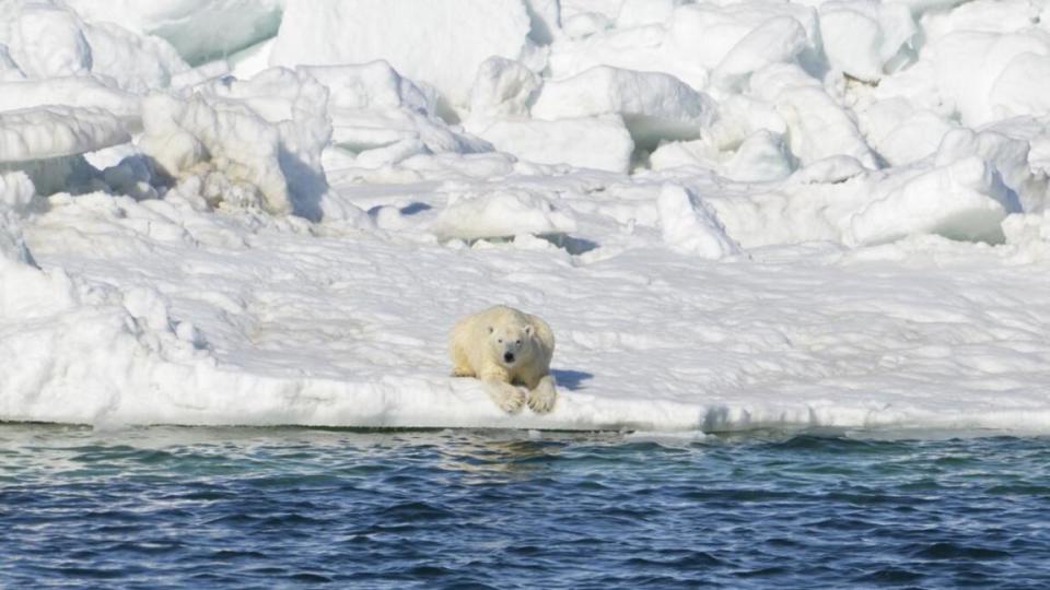 Fotografía por: USGS