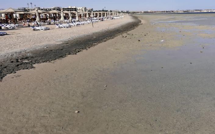 FILE PHOTO: Empty sunbeds are seen during a low tide at the beach of the Red Sea resort of Sahl Hasheesh, Hurghada