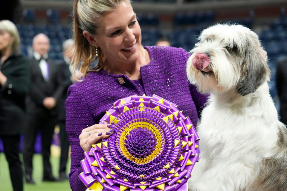 Handler Janice Hays poses for photos with Buddy Holly, a petit basset griffon Vendéen that won Best in Show.