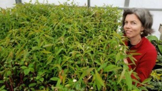 Nashwaak Watershed Association executive director Marieka Chaplin and some native red-tipped willows grown in a greenhouse.