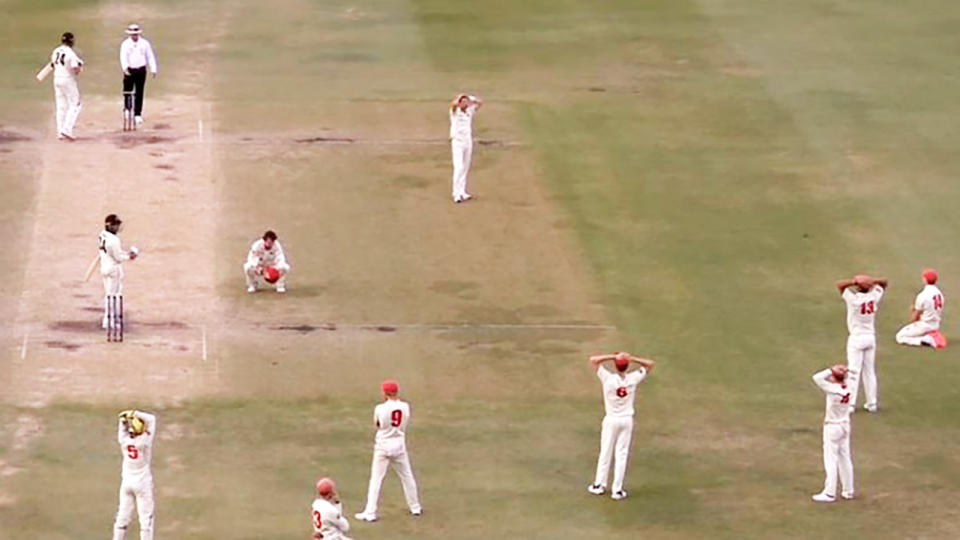 South Australian players, pictured here after the final ball of their clash with Western Australia. 