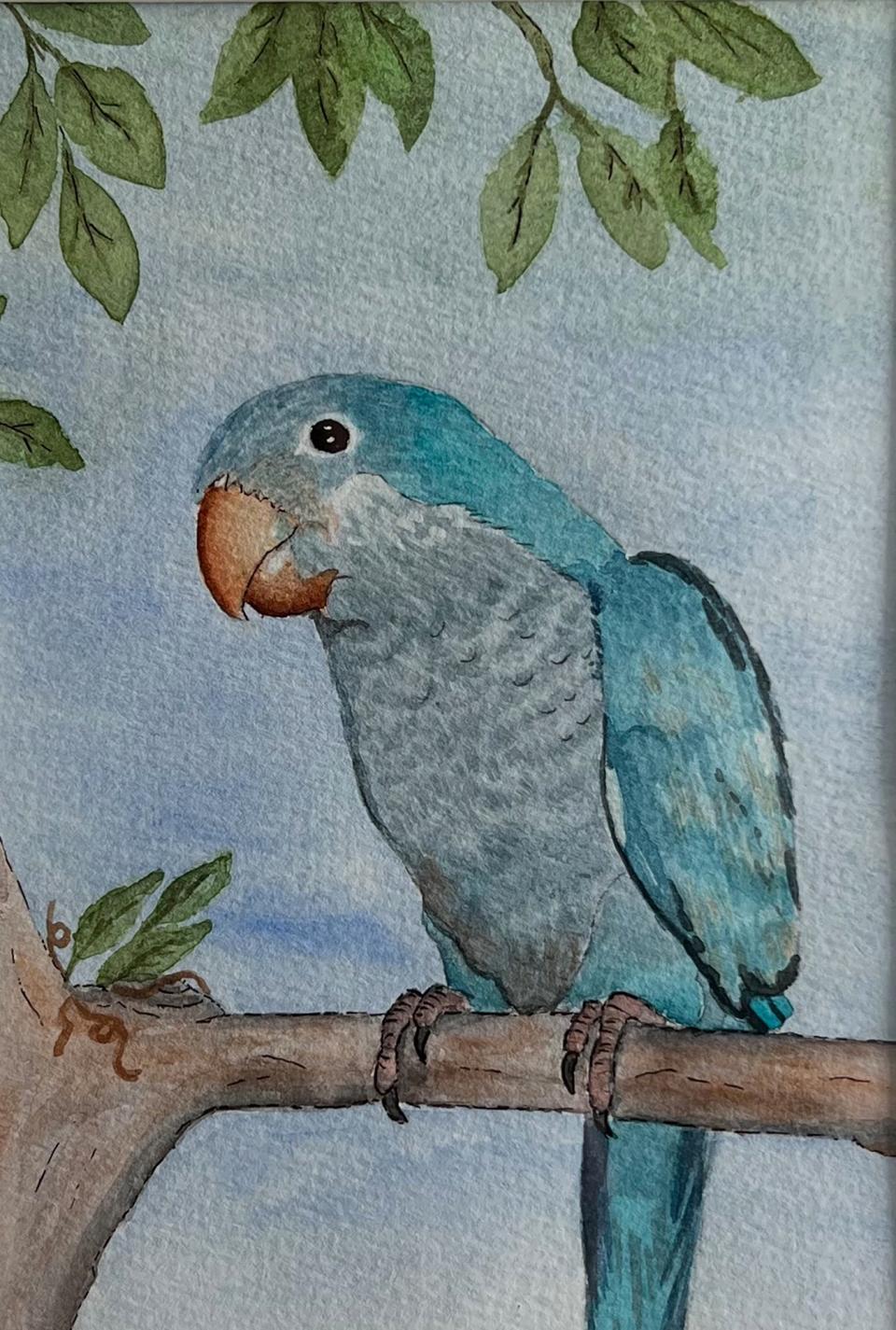 Artwork of Schmuey the parrot from the Arts Center of Newcomerstown by Regina Schilling.