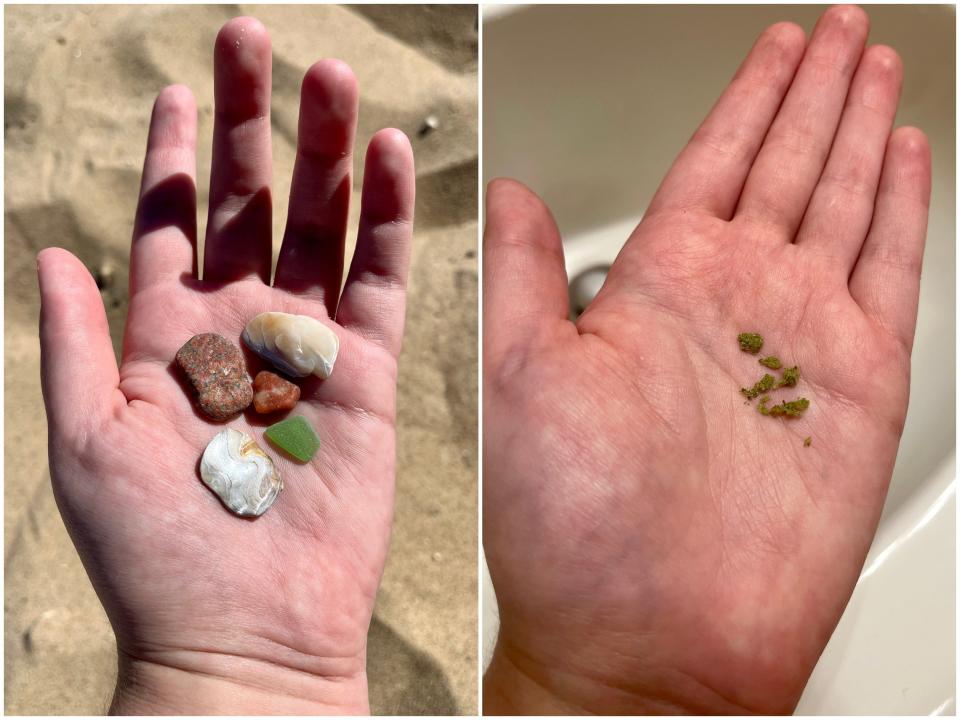 A handful of rocks and shells and a handful of duckweed