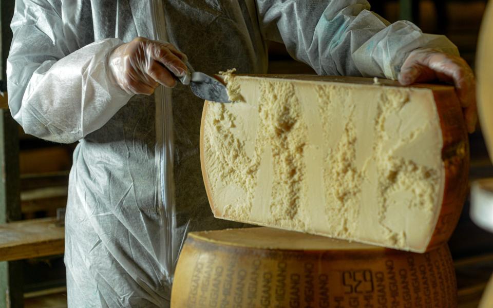 Grandi says that the huge parmesan wheels we are familiar with only appeared in the 1960s - Getty