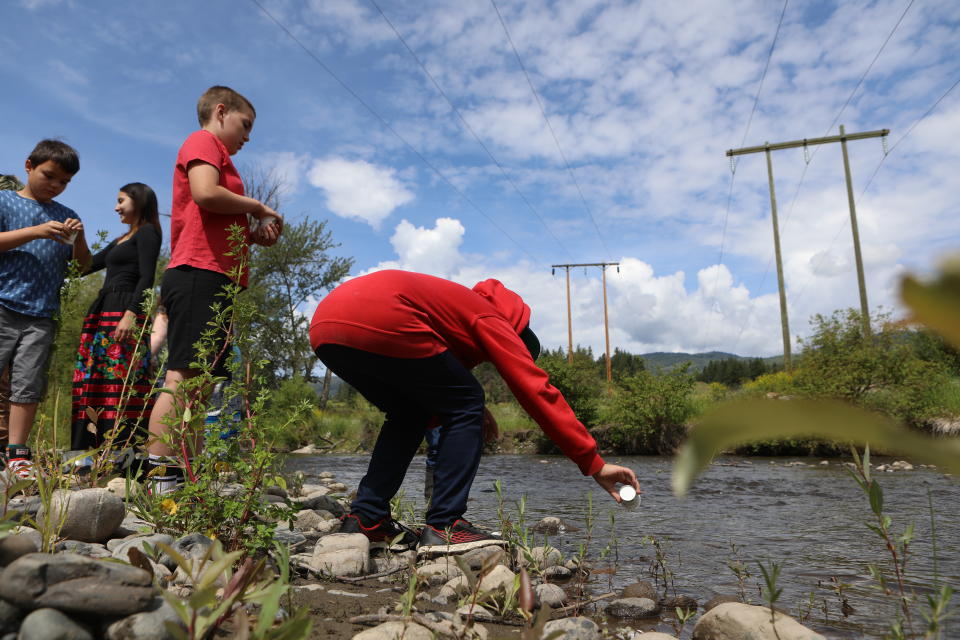 A student from Okanagan Indian Band’s Cultural Immersion School releases their salmon fry into the Salmon River in syilx Okanagan territory during a ceremonial release hosted by the Okanagan Nation Alliance on June 19, 2024. Photo by Aaron Hemens