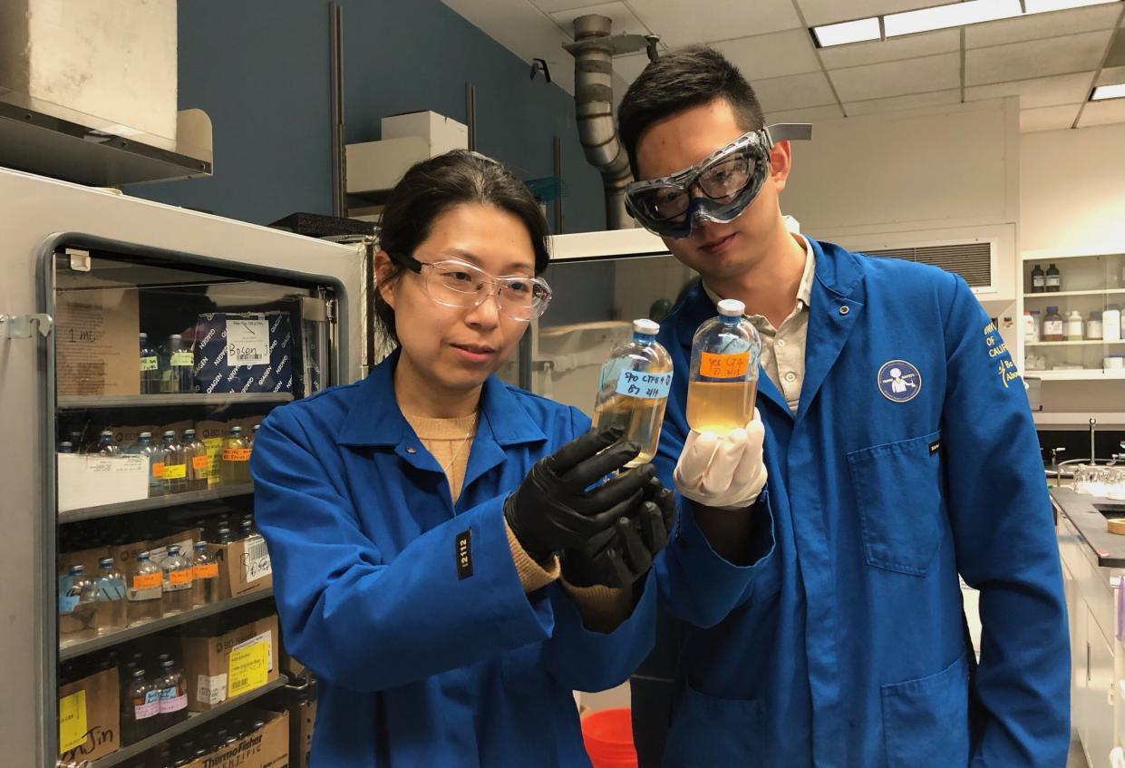 UC Riverside researchers Yulie Me and Josen Jin have identified bacteria able to break down some 