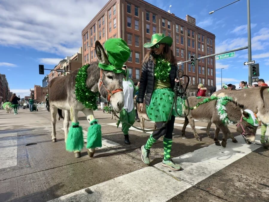 Coloradans grabbed their green and gathered in the Five Points neighborhood of Denver for the 62nd annual St. Patrick's Day parade on March 16, 2024.