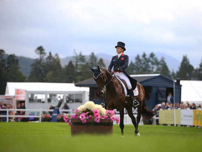 riding dressage horse