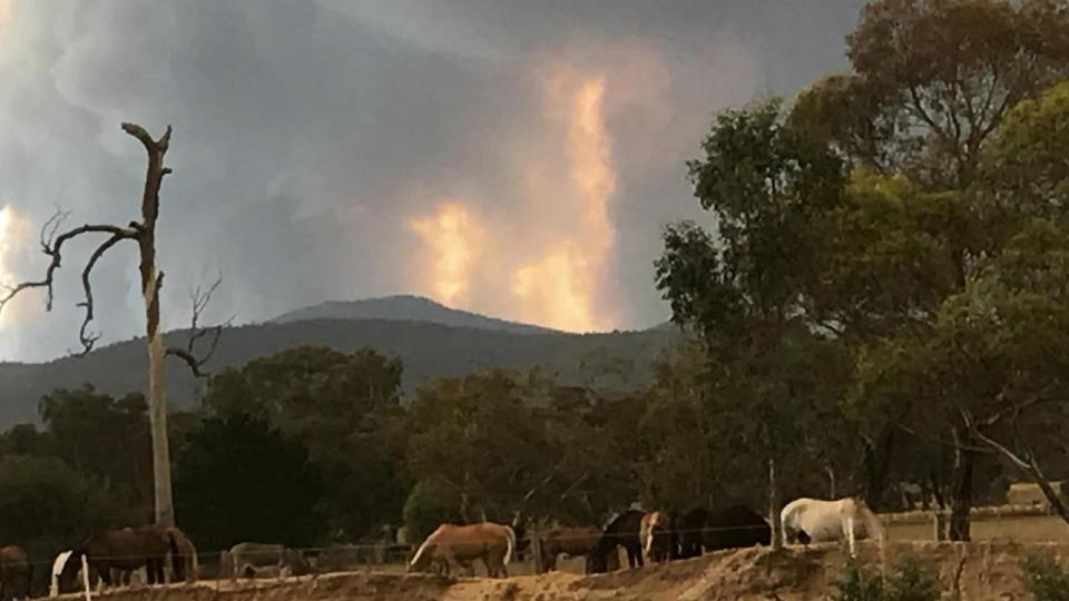 Out of control bushfire at Duffy Rd, Briagolong . Picture: Facebook / Jillian Baade