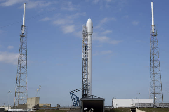 A file photo of SpaceX's Falcon 9 rocket on the launch pad.