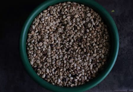 Coffee beans are seen at a cooperative in San Carlos, Colombia July 13, 2017. Picture taken July 13, 2017. REUTERS/Federico Rios