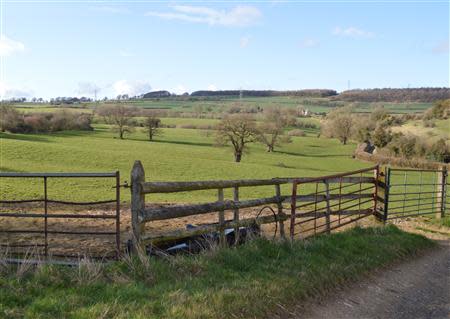 Farmland belonging to farmer Jan Rowe is seen in the Gloucestershire village of Whittington, March 21, 2014. REUTERS/Jemima Kelly