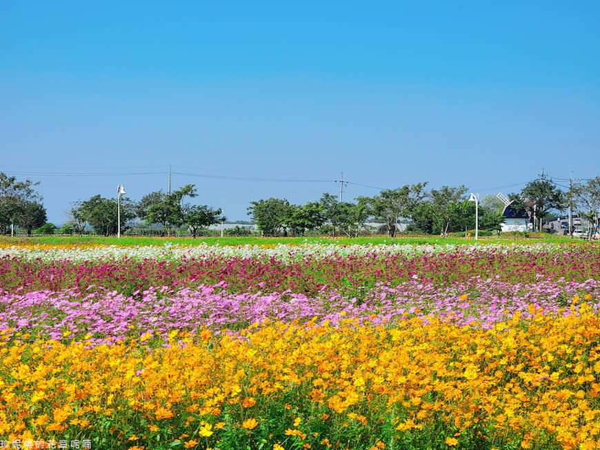 屏東｜新埤鄉綜合休閒公園