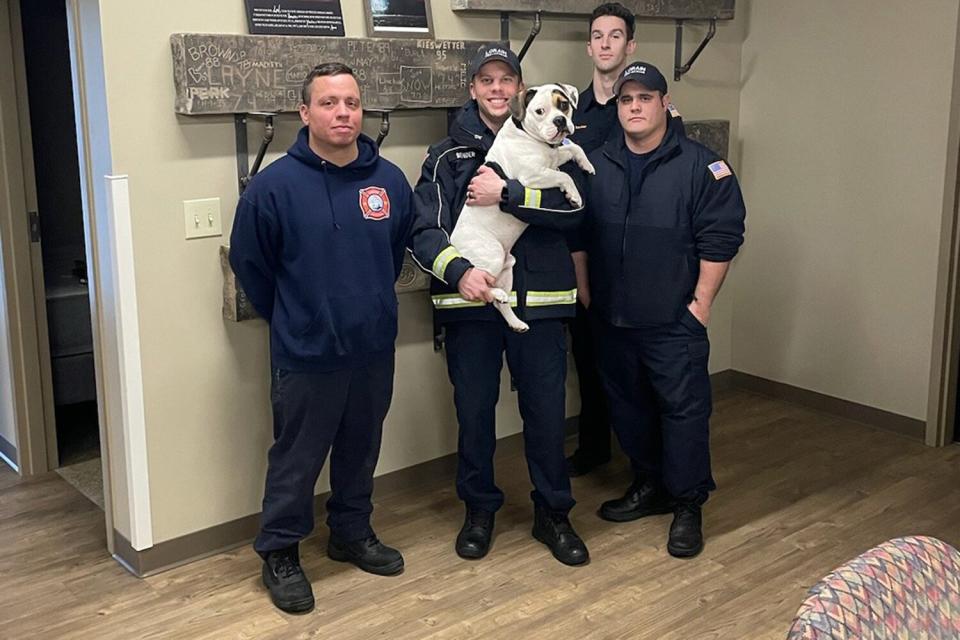 Firefighters Rescue Dog
