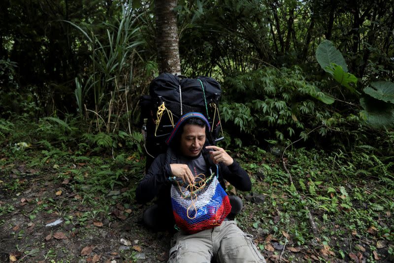 The Wider Image: Taiwan plant hunters race to collect rare species before they are gone