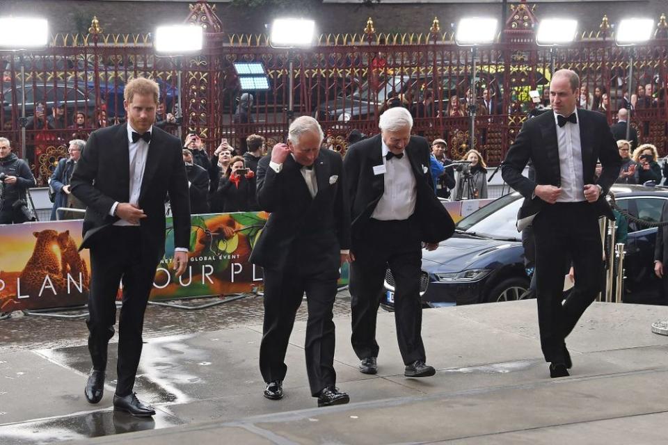 Prince Harry Joins William and Charles for Netflix Premiere