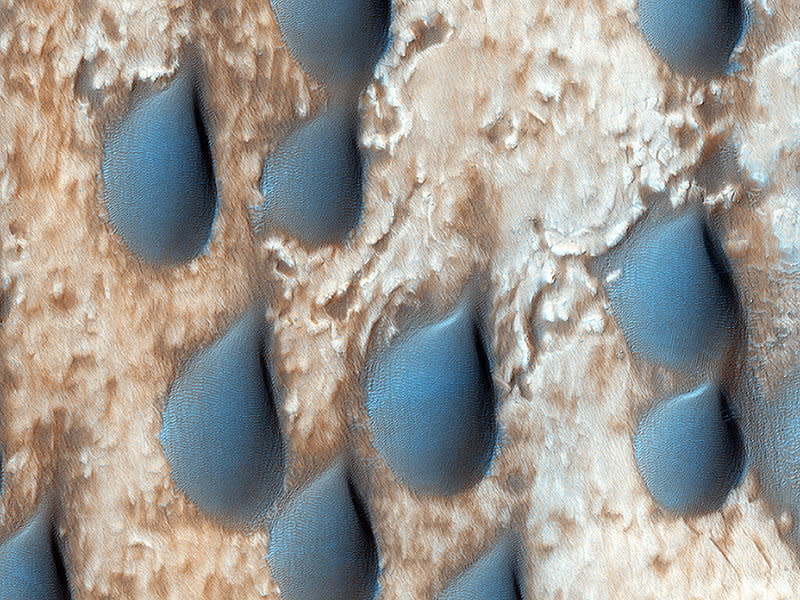 The dark features here look like raindrops, but are actually sand dunes. This spot was targeted an infrared spectrometer on the Mars Orbiter because the dunes are rich in the mineral olivine.    Olivine-rich dunes are very rare on Earth, as olivine rapidly weathers to clays in a wet environment. There is also olivine-rich bedrock in the central peaks of Copernicus Crater on the Moon.    (Caption: Alfred McEwen)