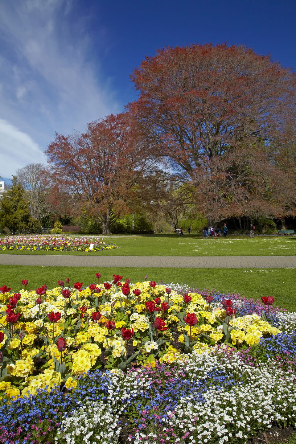 54) Stroll through a botanical garden.