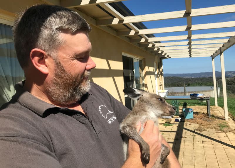 WIRES carer Matthew Jarrett holds Frankie, a rescued orphaned eastern grey kangaroo, at his home in Bathurst